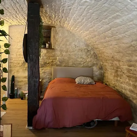 Voute Des Anges Type Loft Sans Cloison Appartement
